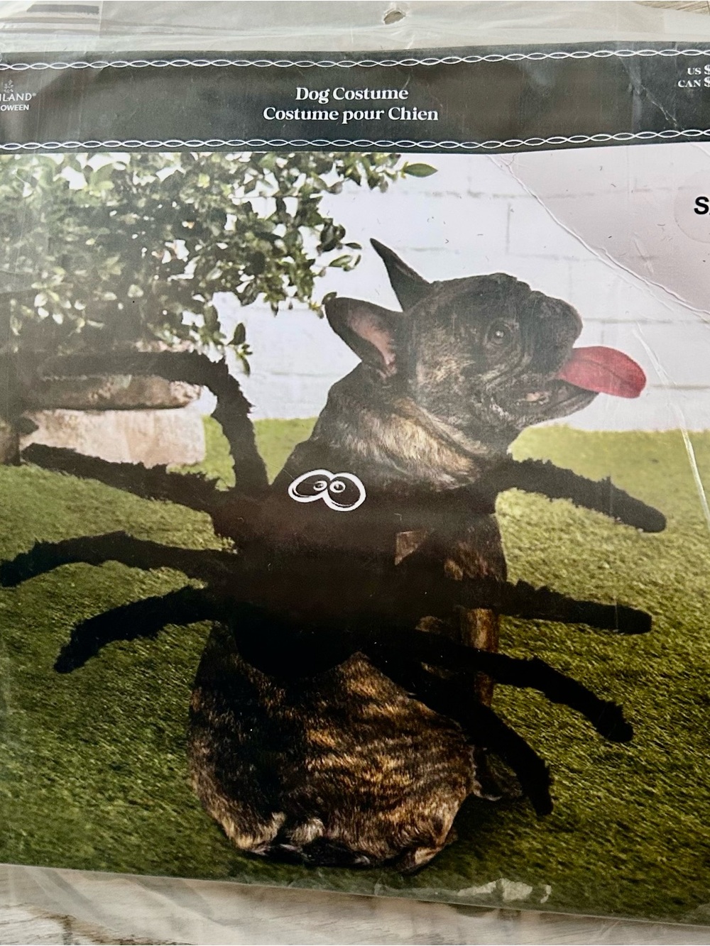 Ashland Black Spider Dog Costume with Plush Legs